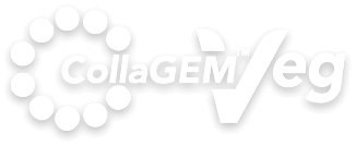 Logo CollaGEM Veg