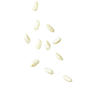 Semente de colágeno vegano